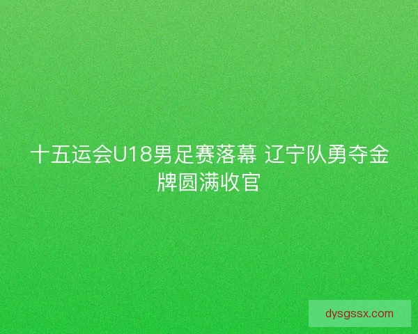 十五运会U18男足赛落幕 辽宁队勇夺金牌圆满收官